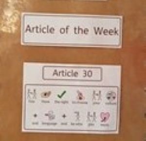 rrsa (2)